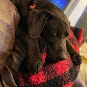 Meet your Posher, Travis